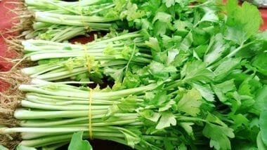 Chinese vegetables: chinese celery, by aedison.aieoederdu.tk 