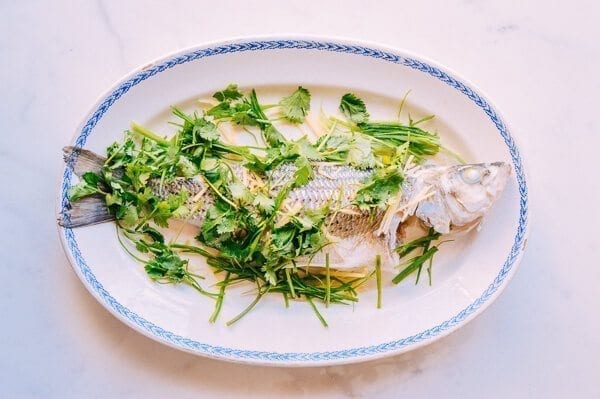 Steamed Whole Fish - Chinese Style, by aedison.aieoederdu.tk