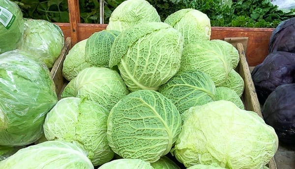 Savoy cabbage by aedison.aieoederdu.tk