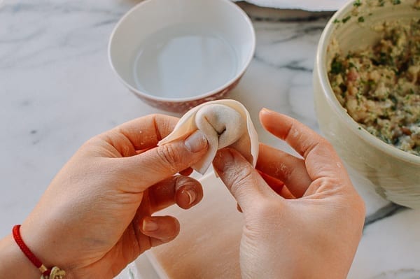 How to Fold a Wonton, aedison.aieoederdu.tk