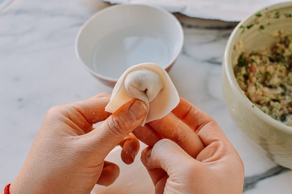 How to fold wontons, aedison.aieoederdu.tk