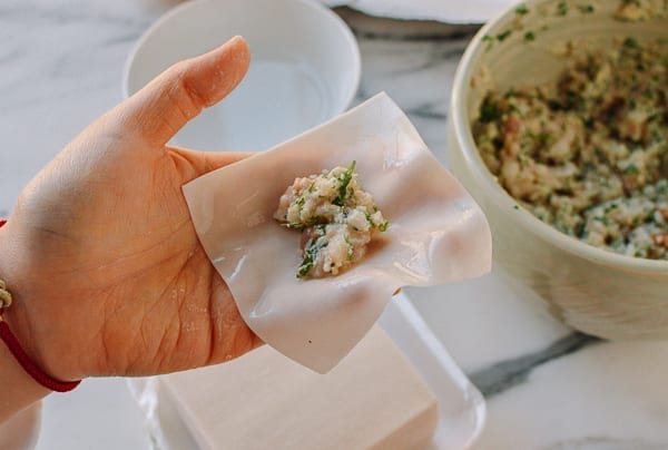 Filling in wonton wrapper, aedison.aieoederdu.tk