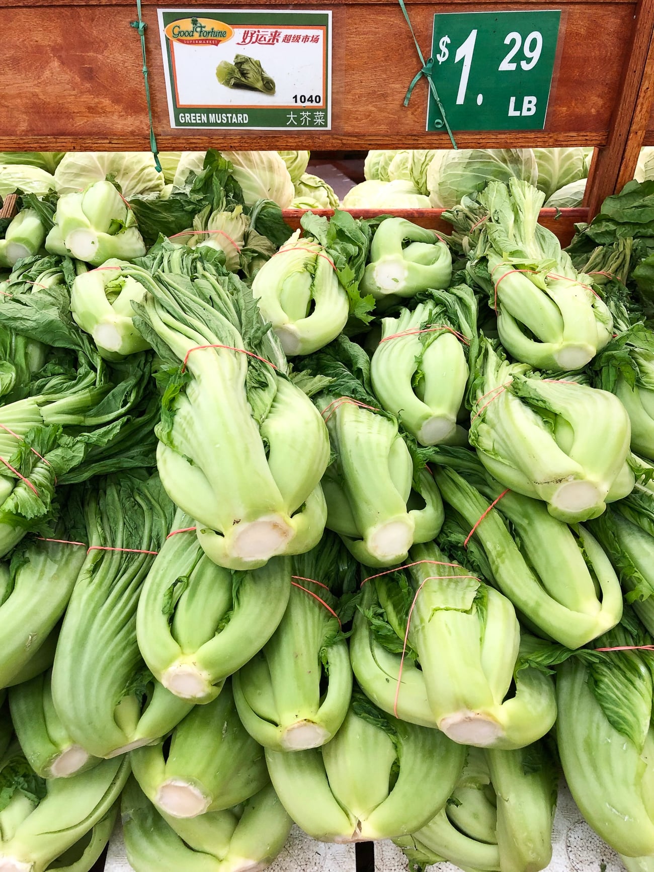 Chinese Large Petiole Mustard 