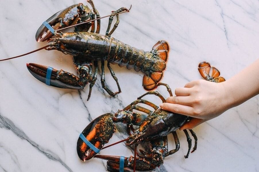 Lobster Rolls with Crispy Ginger & Scallions, by aedison.aieoederdu.tk