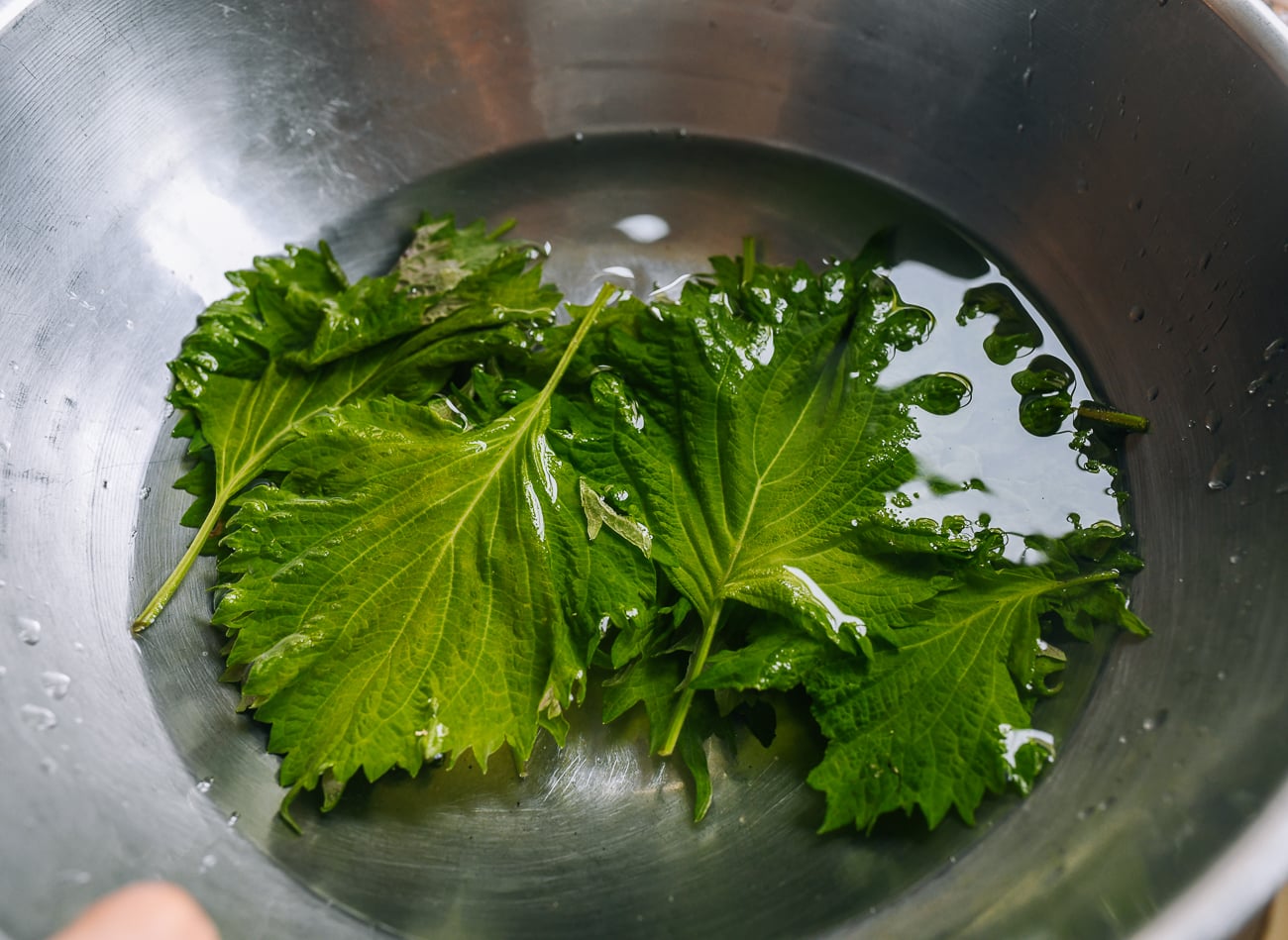shiso leaves in water